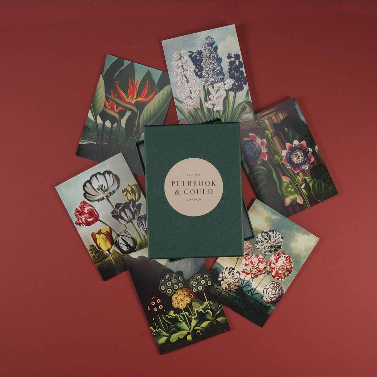 Tolstoy Gallery Greetings Card Box set - Exotic flowers - Pulbrook & Gould