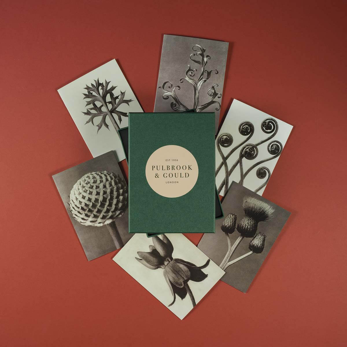 Tolstoy Gallery Greetings Card Box Set - Flora - Pulbrook & Gould