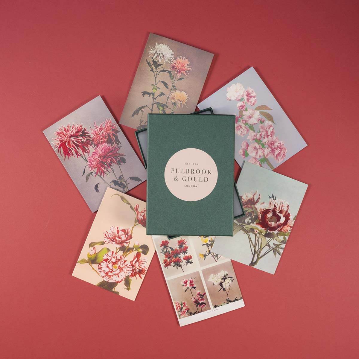 Tolstoy Gallery Greetings card Box set - Flowers - Pulbrook & Gould