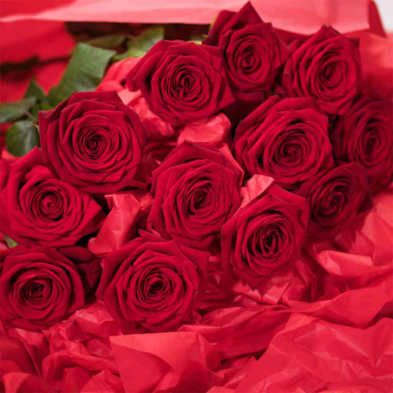 Long Stemmed Red Roses - Pulbrook and Gould Flowers London