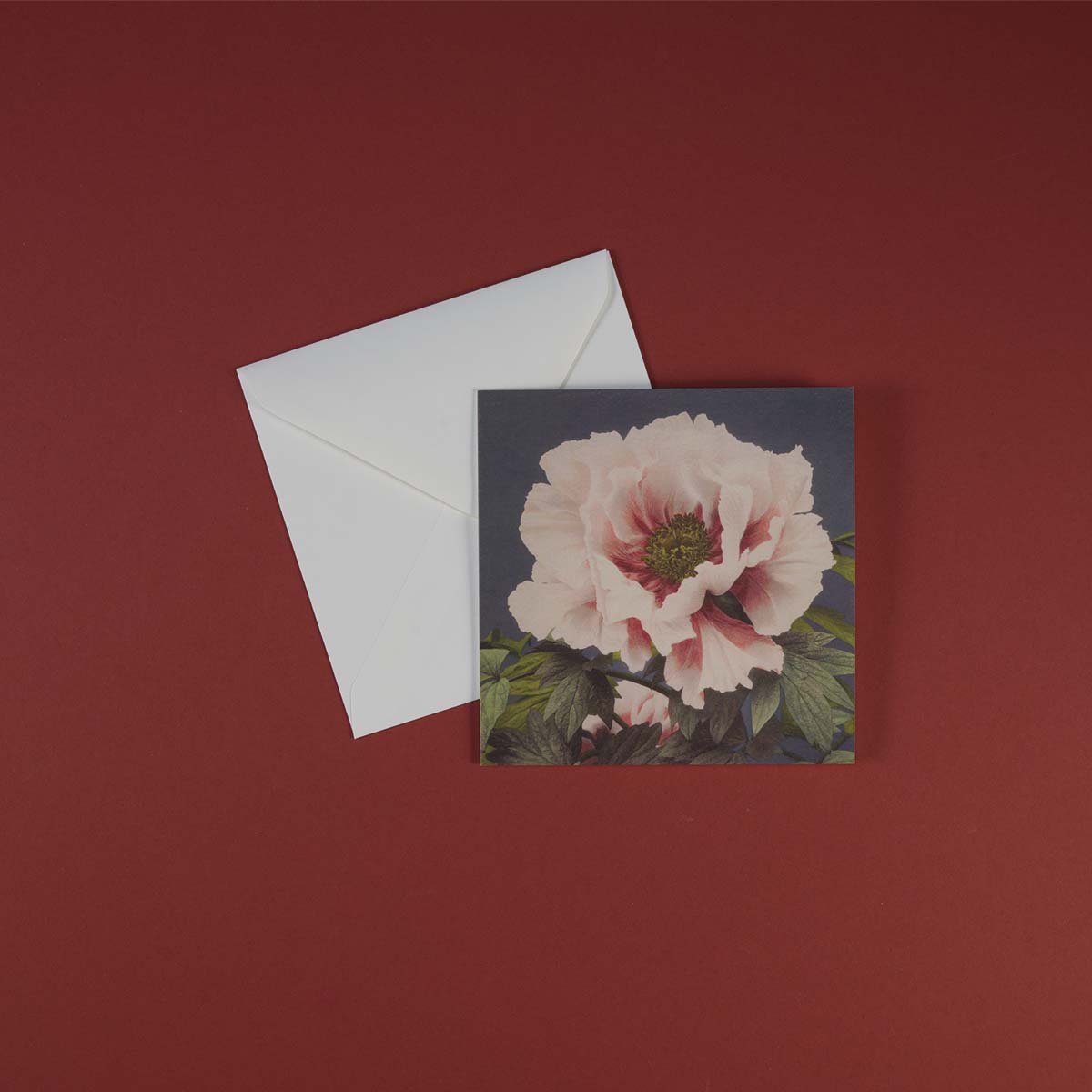 Luxury Greeting Cards - Pulbrook and Gould Flowers London