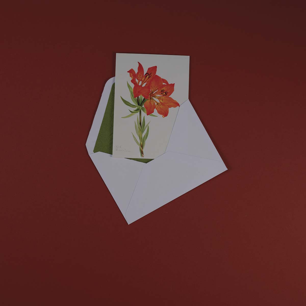 Luxury Greeting Cards - Pulbrook and Gould Flowers London
