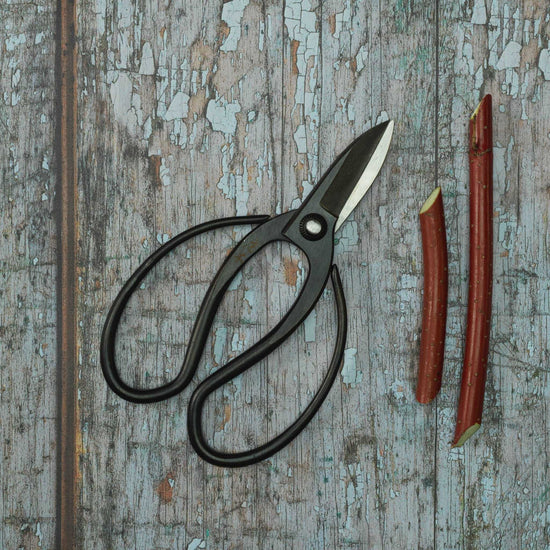 Sentei Garden Scissors - Pulbrook and Gould Flowers London