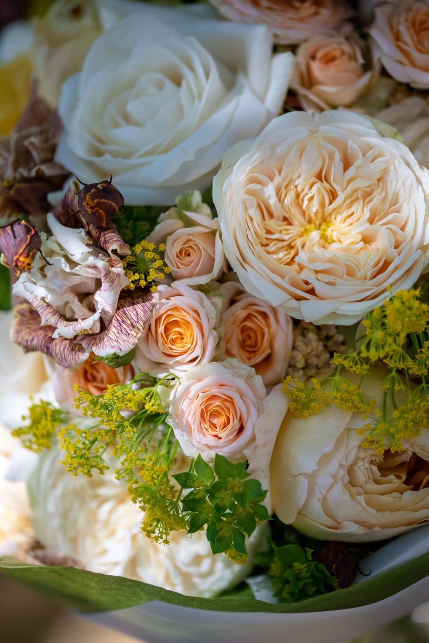 White and Peach Floral Harmony Bouquet - Pulbrook and Gould Flowers London